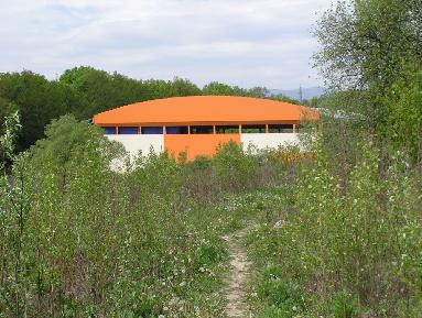 219.jpg